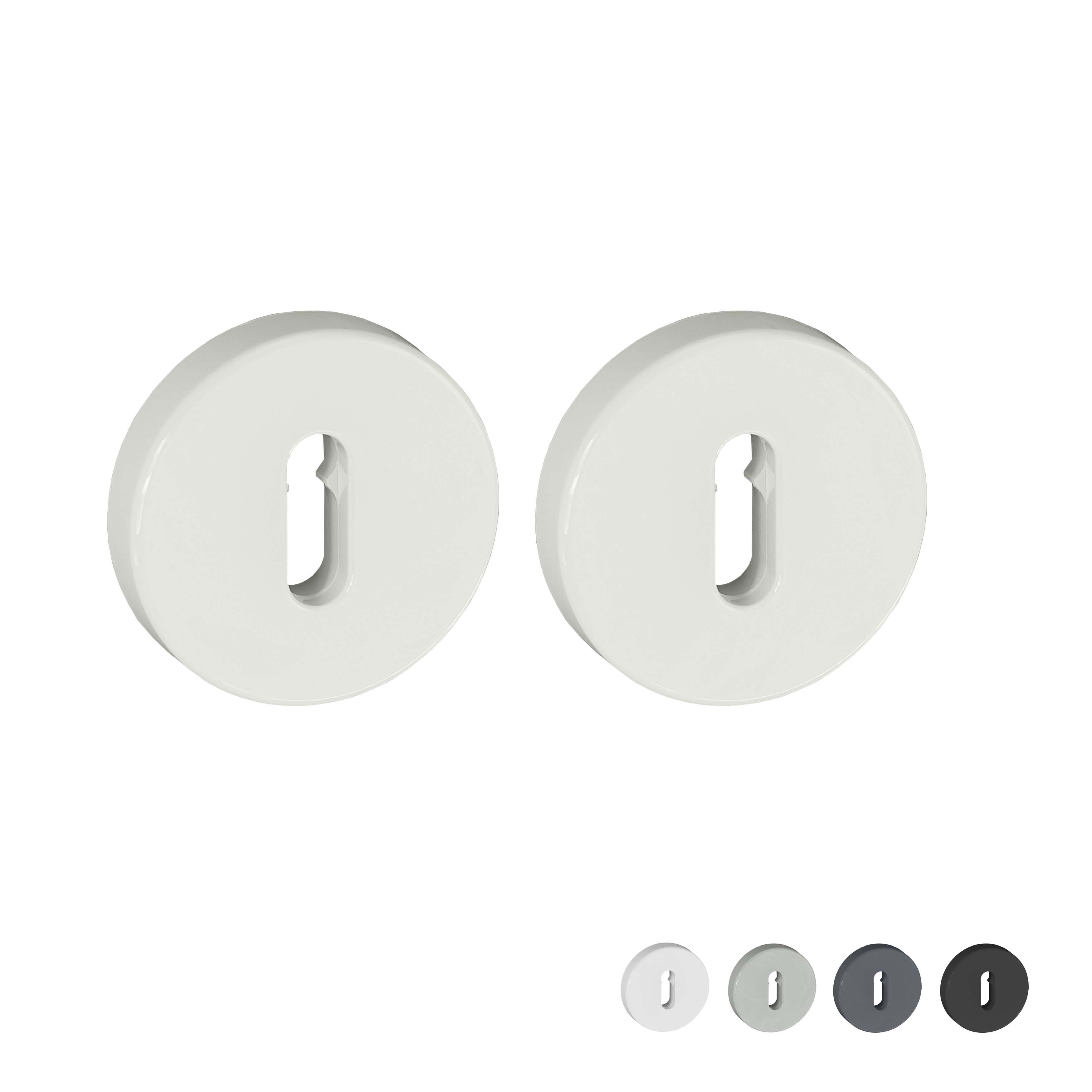 306.23 HEWI Schlüsselrosettenpaar hochglänzend BB