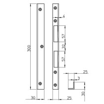 4113 00-100G SSF Winkelschließblech