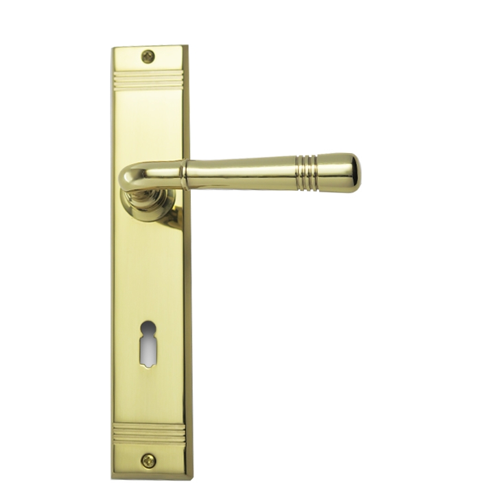 Berlin R716 GHIDINI Türdrücker-Langschild-Garnitur